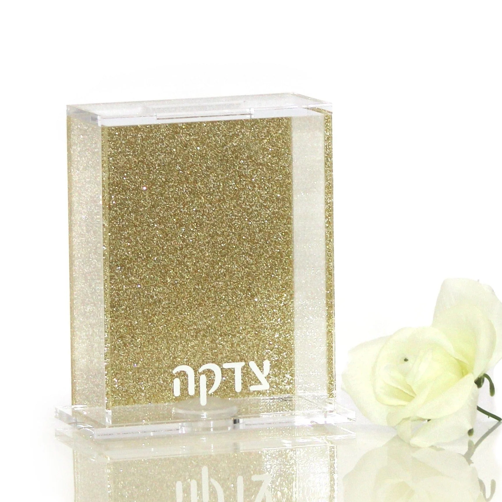 Custom Acrylic Back Color Tzedakah Box
